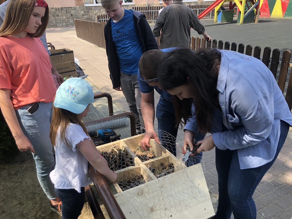 Budowa hotelu dla owadów